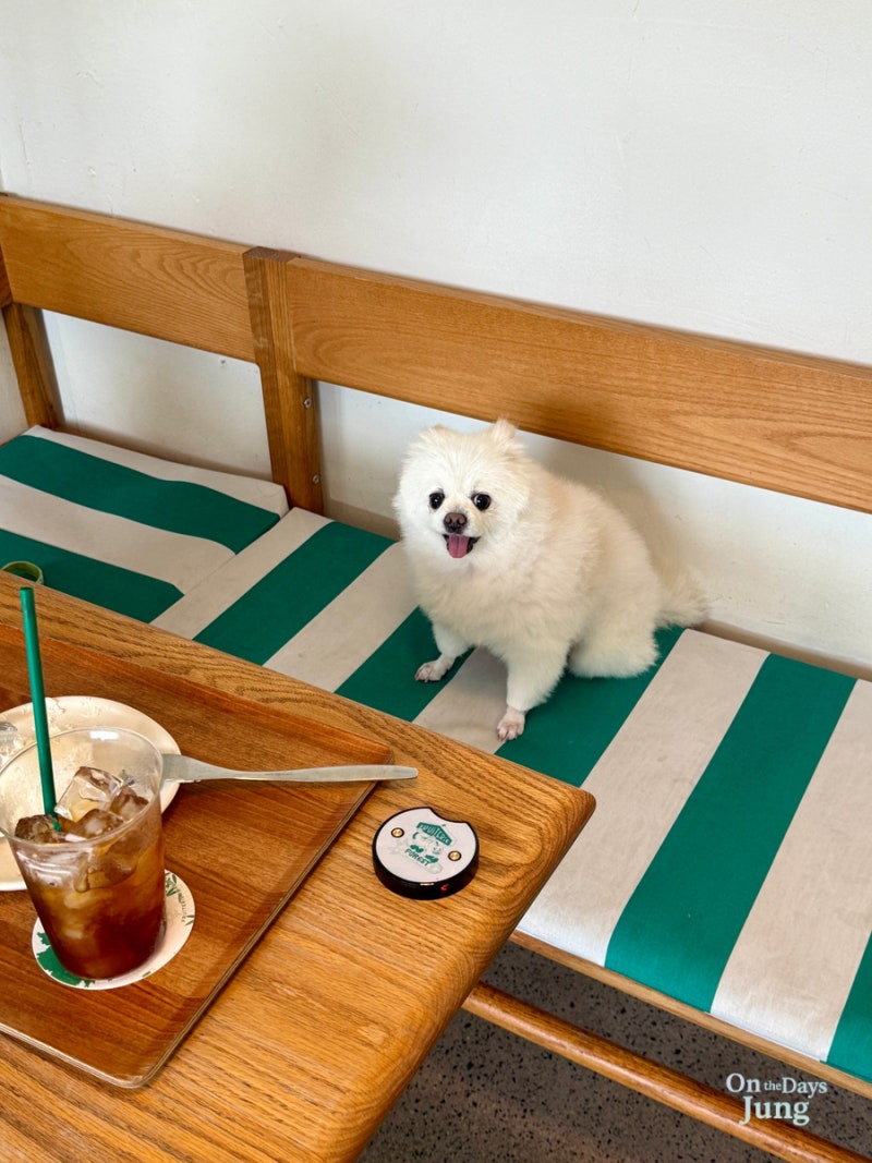 부산 애견동반카페 프루터리포레스트 해운대달맞이점
