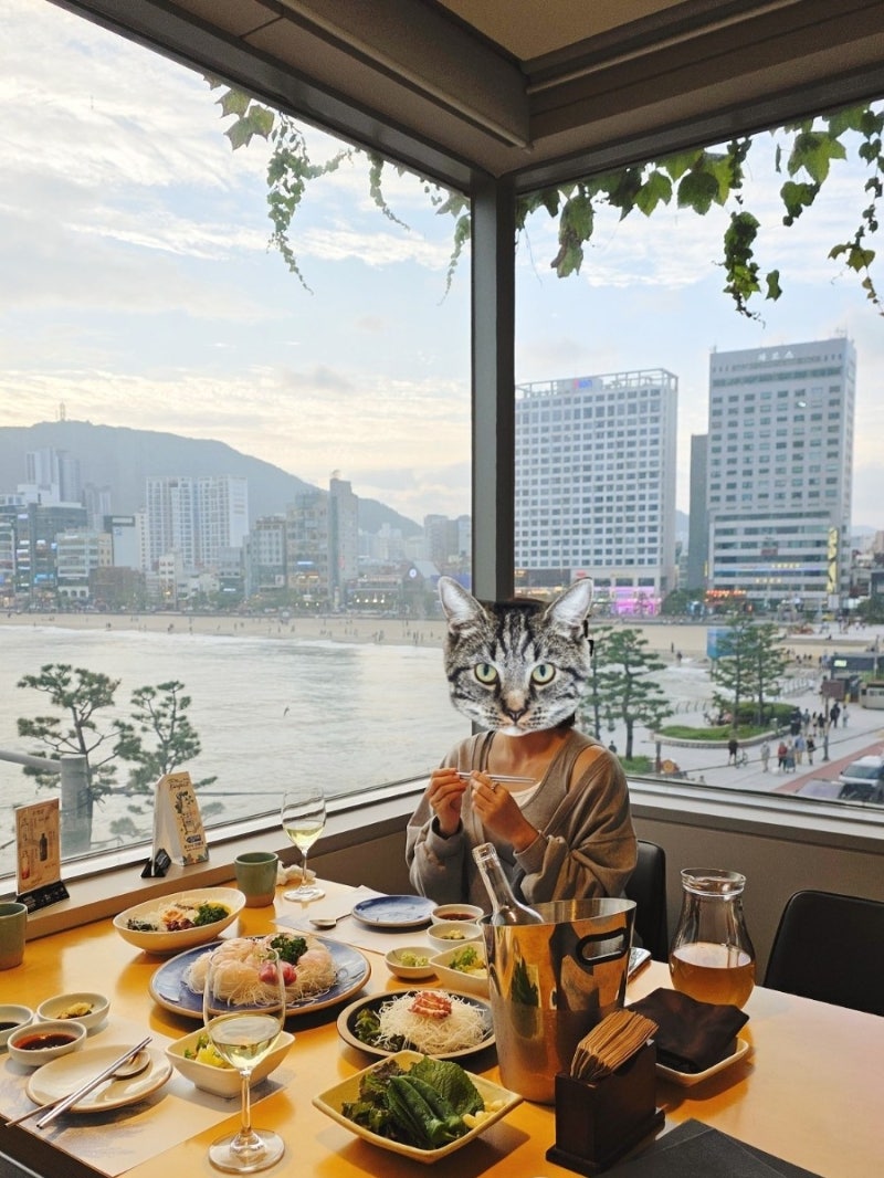 광안리 수정궁 자연산 활어회 자연정찬 코스 바다뷰 개별룸