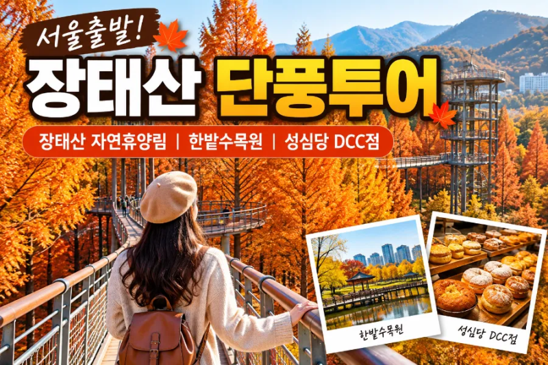 장태산 단풍투어 2026｜서울출발 대전 당일여행, 한밭수목원·성심당까지
