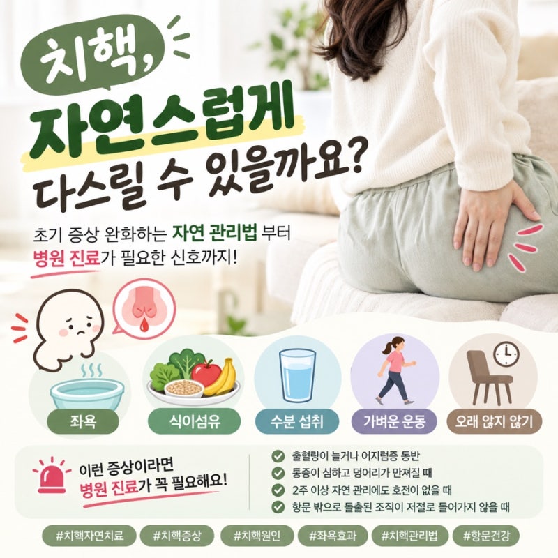치핵 자연치료 가능할까? 초기 치핵 관리법부터 좌욕·식이섬유까지