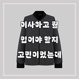 크로커다일 레이디 니트 카라 점퍼, 이거 정말 물건이네!
