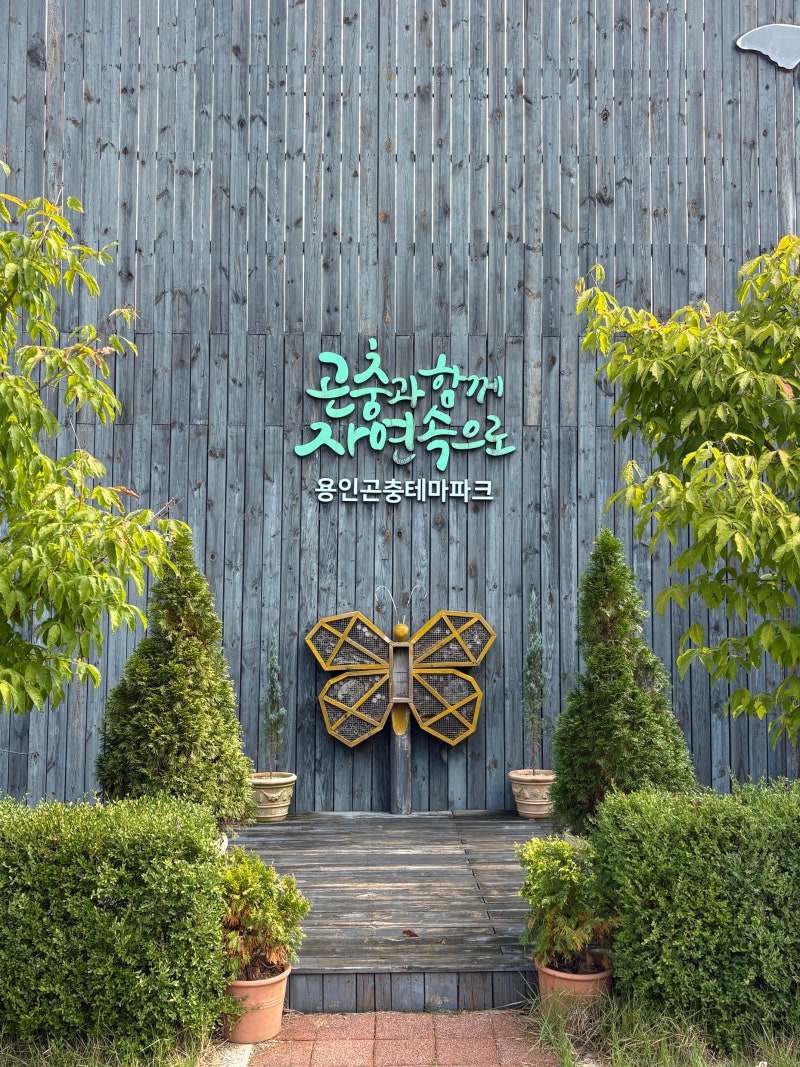용인곤충테마파크 방문후기, 용인 아이랑 가볼만한곳 추천