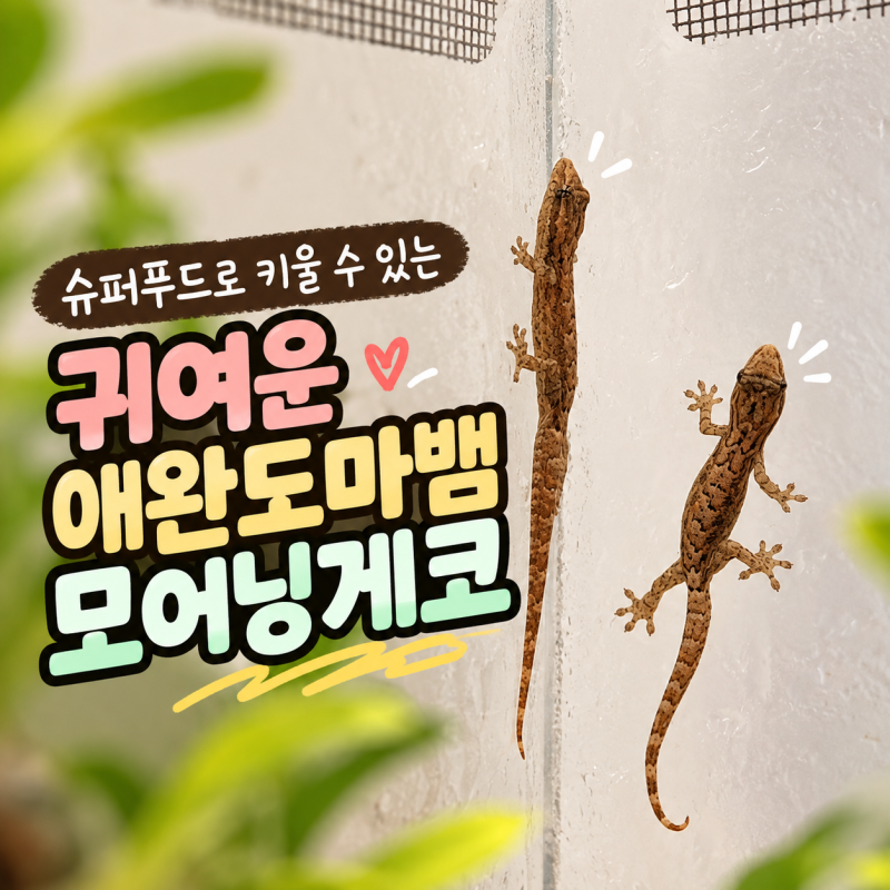 슈퍼푸드로 키울 수 있는 귀여운 애완도마뱀 모어닝게코