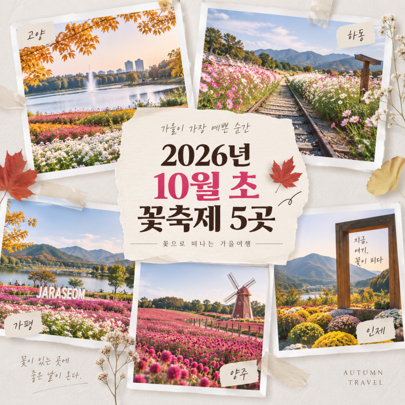2026년 10월 초 전국 꽃축제 가볼만한곳 5곳 일정·입장료·주차 총정리