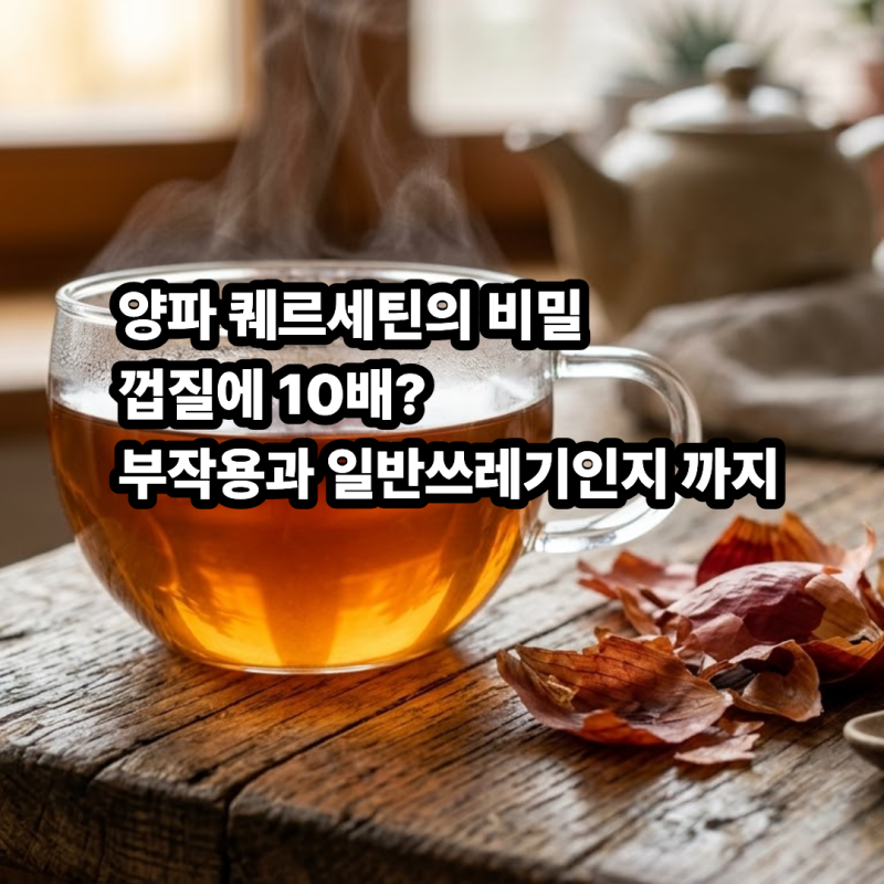양파 퀘르세틴 효능과 부작용, 껍질차 달이는법 및 양파즙 주의사항
