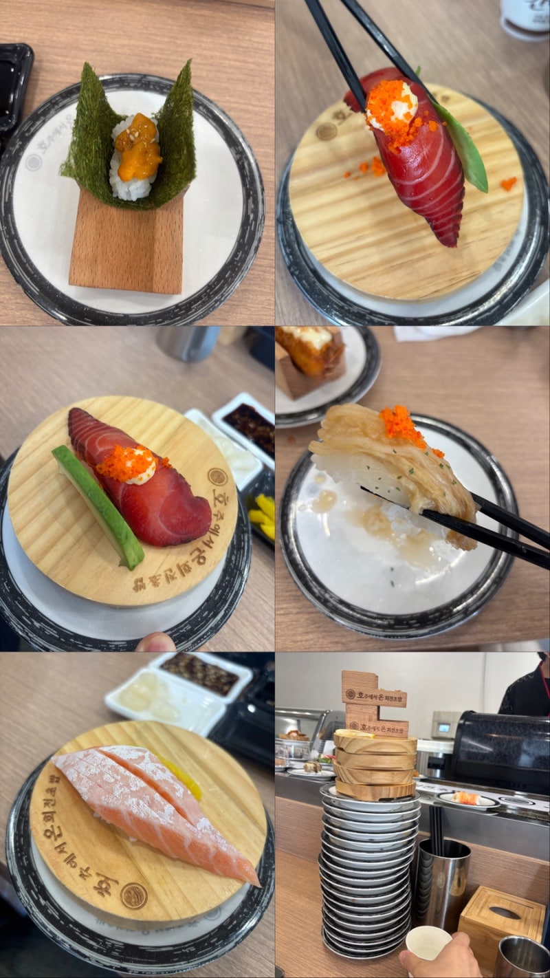 포항 문덕 맛집 호주에서온회전초밥, 2,200원 균일가 회전초밥