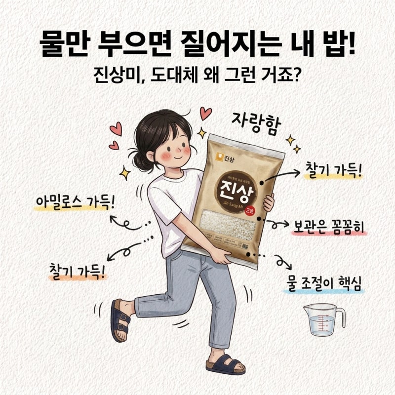 진상미 쌀 평소 물로 지으면 질어짐 밥물 아밀로스 보관법 구별법 차이 진상2호