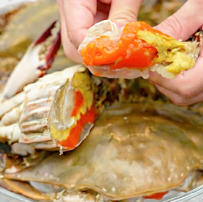 [제철 해산물 추천] K-꽃게 어부가 직접 판매하는 급냉 암꽃게 1kg (알배기 암꽃게 꽃게탕 간장....