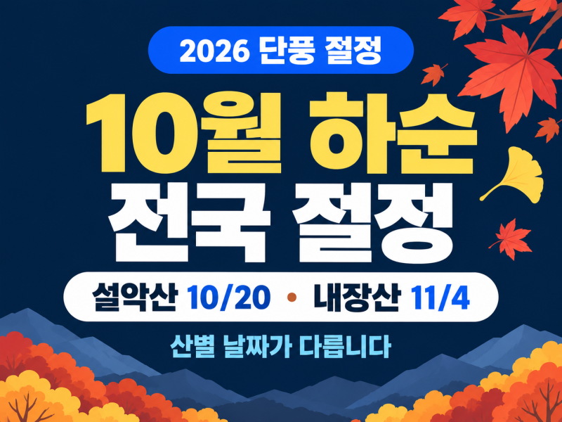 2026 단풍 절정 시기｜설악산 10월 20일·내장산 11월 4일, 주말은 언제 갈까?