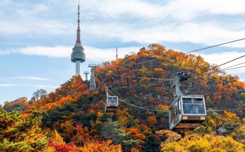 서울 주말 갈만한 곳,남산N타워 운영 시간, 케이블카 이용, 주차 정보, 입장료, 가는 법 총정....
