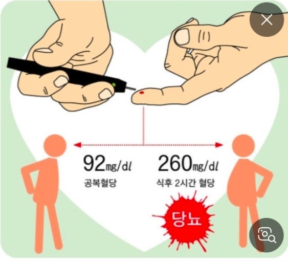 공복혈당은 높은데 식후혈당은 정상?