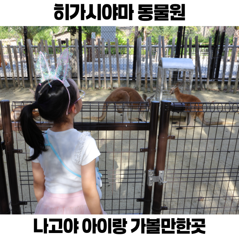 나고야에서 만나는 일본 최대급 동물원 히가시야마 아이랑 여행 가볼만한곳