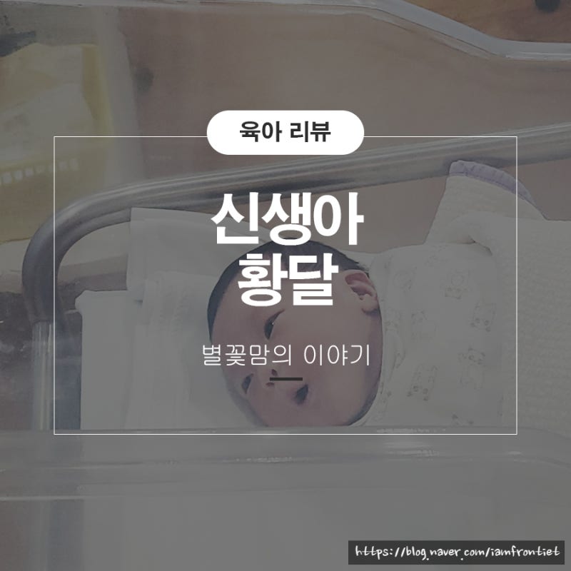 신생아 황달 아기 모유황달 치료