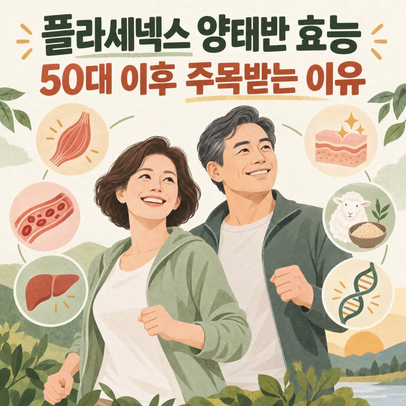 플라세넥스 양태반 효능, 50대 이후 주목받는 이유