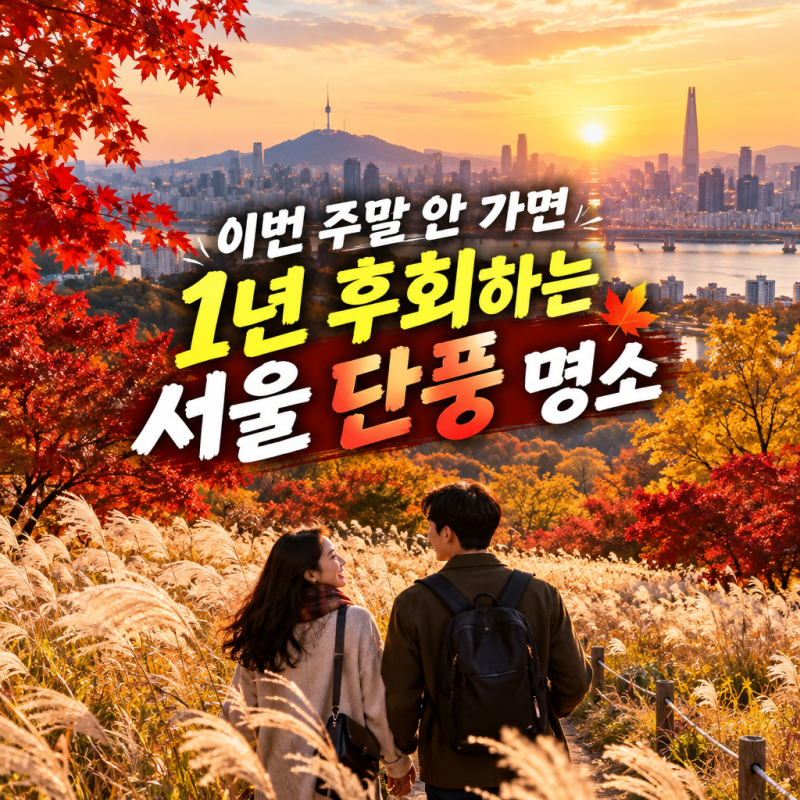 서울 가을 나들이 명소 BEST 4 하늘공원 억새·서울숲 은행나무·올림픽공원 코스모스·창경궁 ....