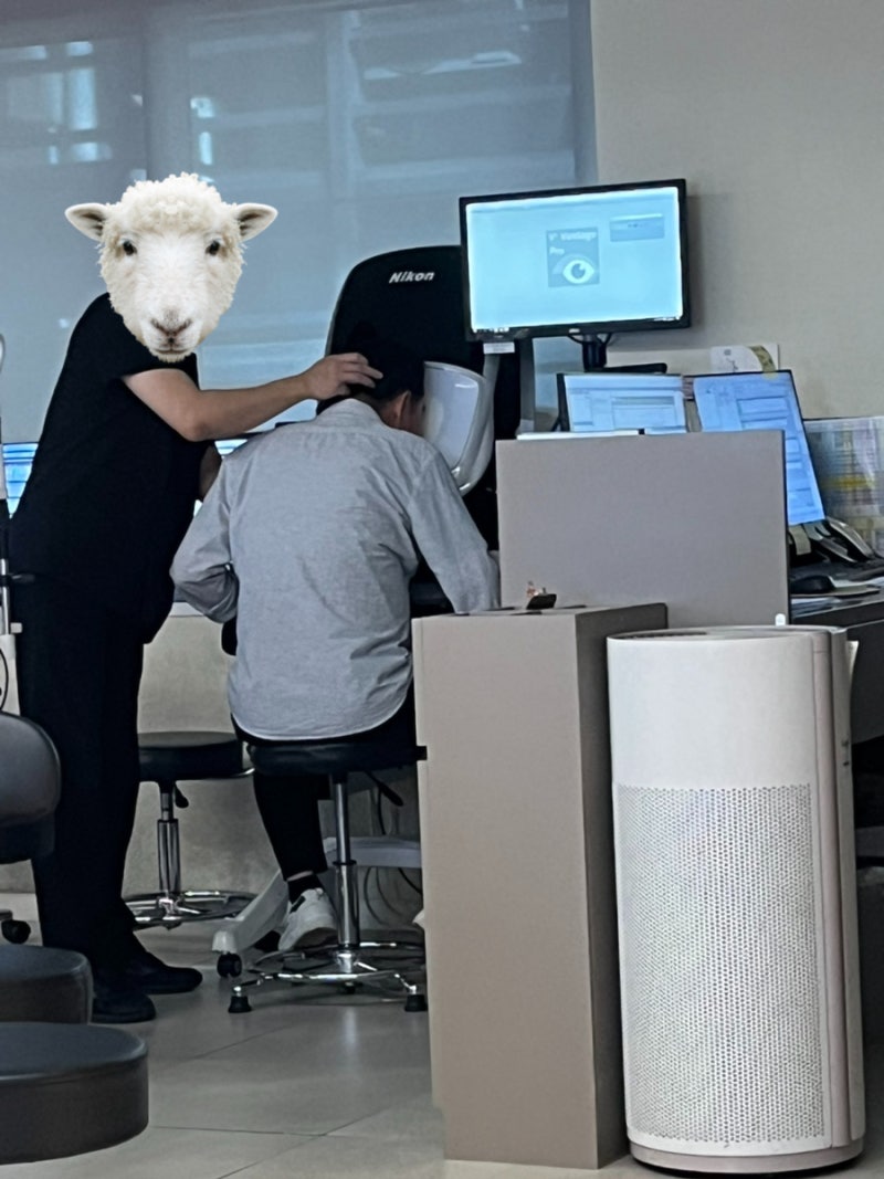 강남역 안과 망막박리 열공 검사 후기 | 시술 권유 없는 검진