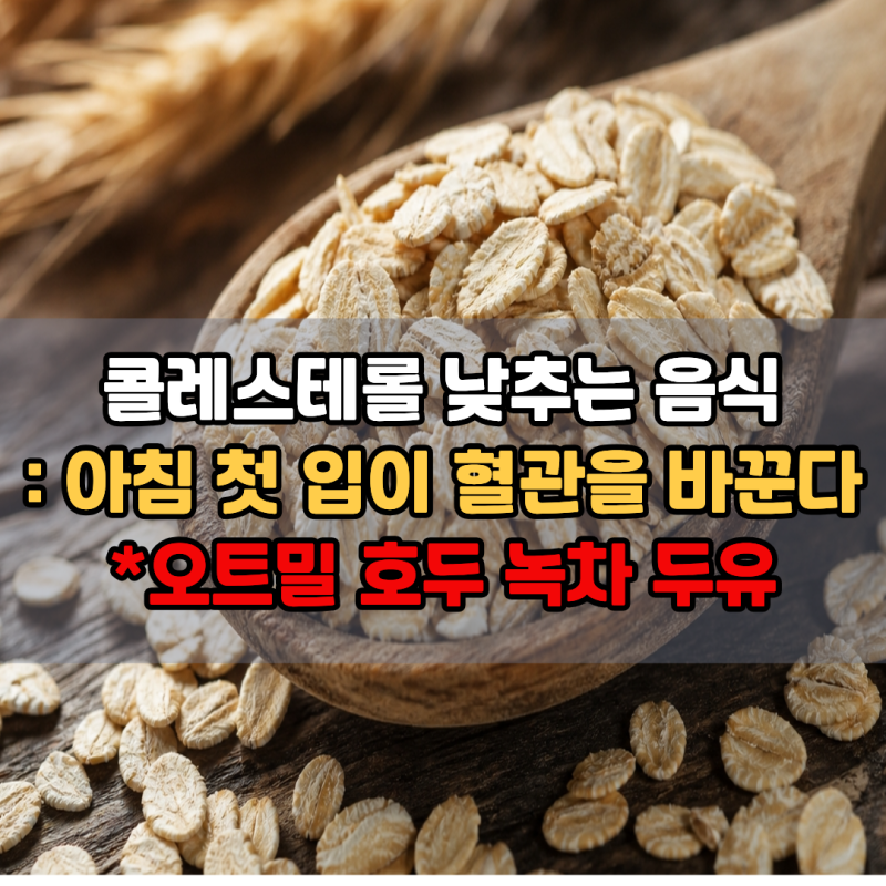 "아침 첫 한입이 혈관을 바꿉니다" 콜레스테롤 낮추는 데 도움 되는 음식 4가지 | LDL 관리 오....