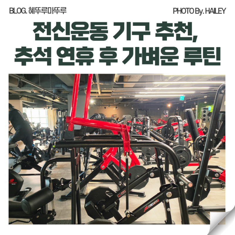 헬스장 전신운동 기구 추천, 추석 연휴 후 가볍게 시작하는 루틴