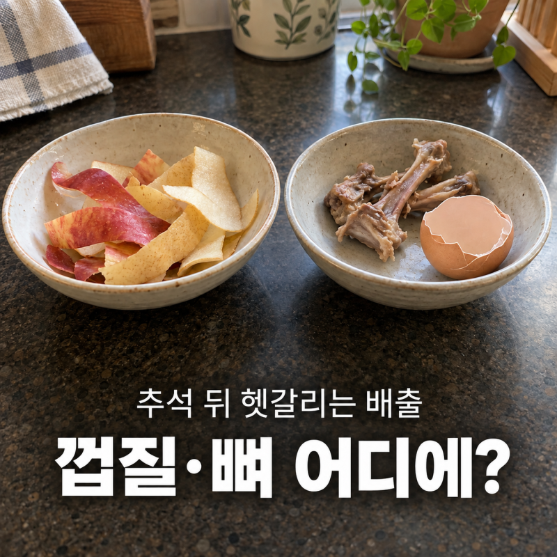 사과·배 껍질은 음식물쓰레기일까? 추석 뒤 헷갈리는 5가지