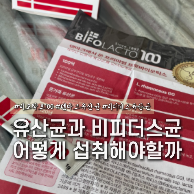 유산균 비피더스균 차이 총정리 덴마크유산균 비포락토 100 추천이유