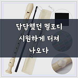 야마하 리코더 YRS-23G, 드디어 나도 이걸 샀어요!