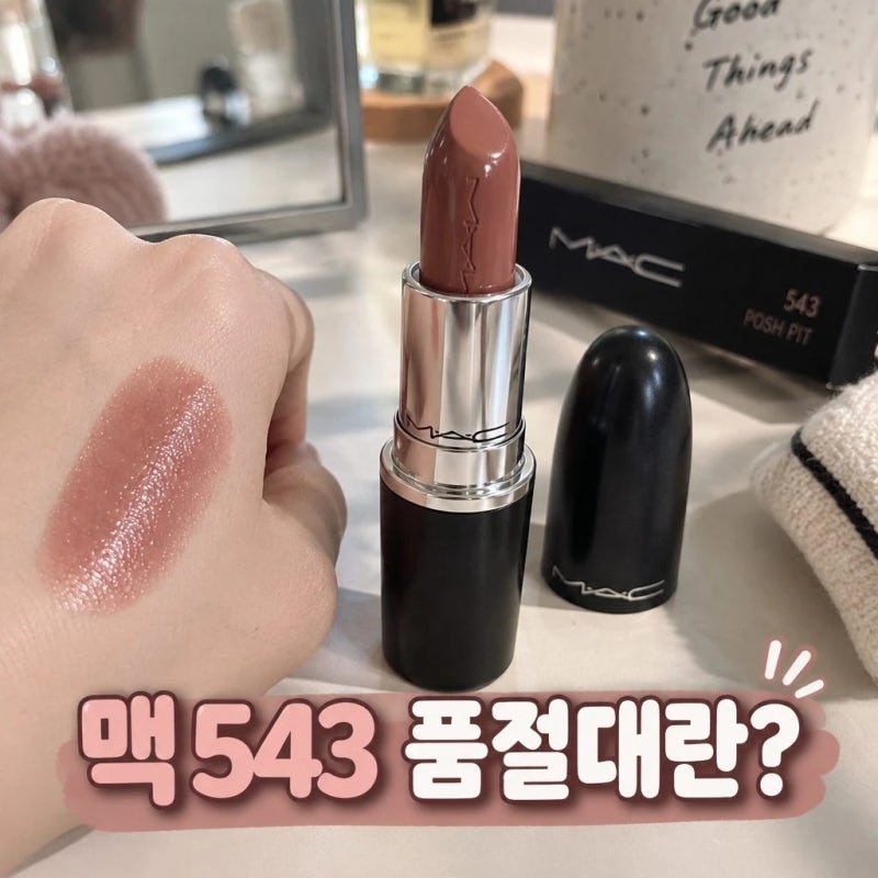 맥 543 포쉬 핏, 쌩얼 립으로 바르기 좋은 로즈 브라운?