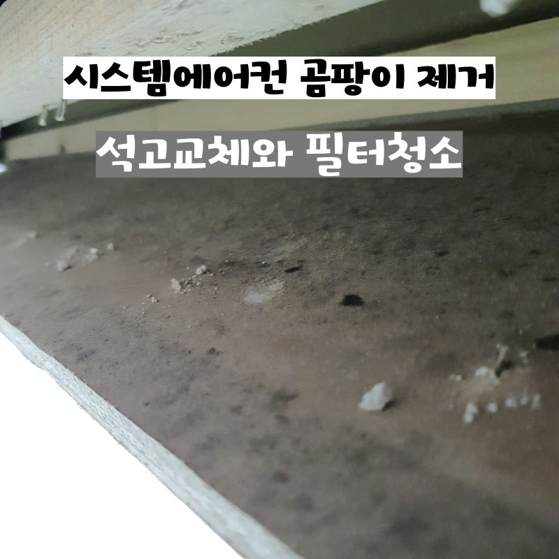 시스템에어컨 곰팡이 제거 석고교체와 필터청소