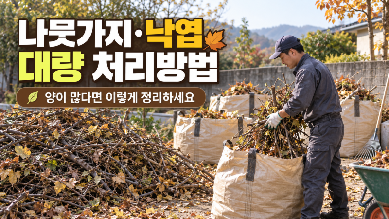 나뭇가지·낙엽 대량 처리방법, 양이 많다면 어떻게 버려야 할까요?