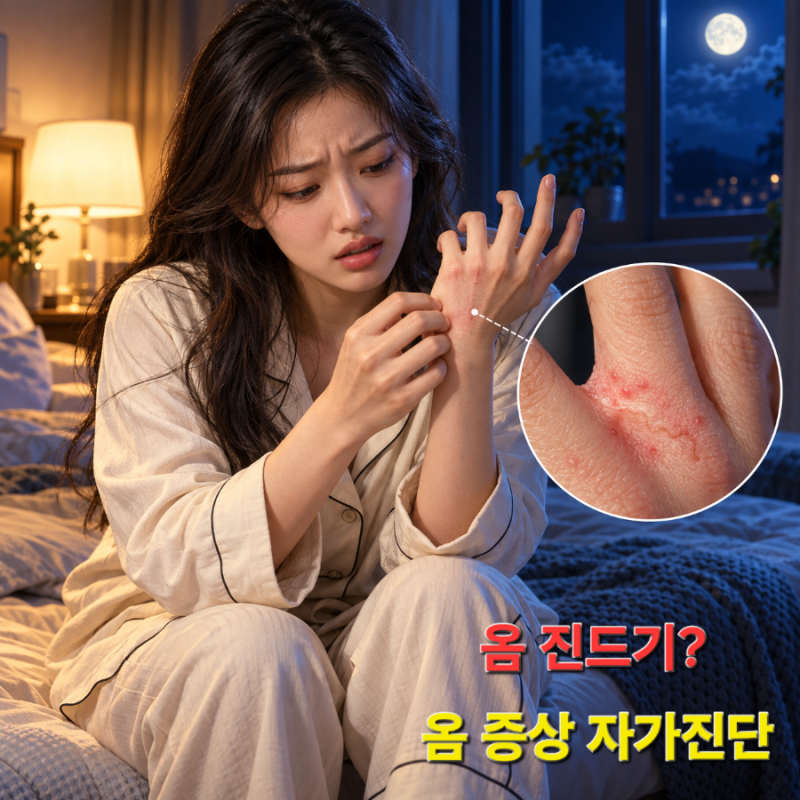 피부 두드러기인 줄 알았는데 '옴 진드기'? 옴 증상 자가진단 및 전염성 구분 기준
