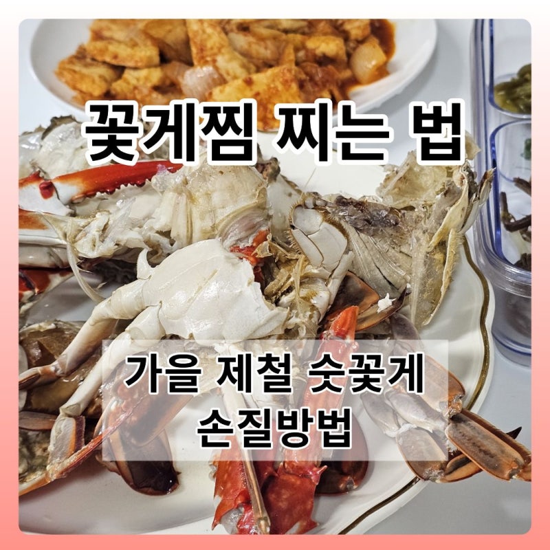 가을 제철 숫꽃게 손질법부터 달큰한 꽃게찜 만드는 법
