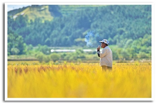 농지 전수조사 대상, 과태료까지 한눈에 정리해드려요