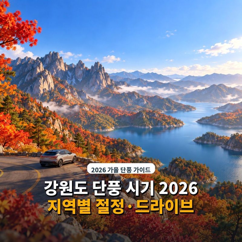 강원도 단풍 시기 2026｜오대산·설악산·치악산 절정 비교