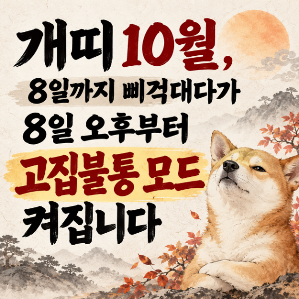 2026년 10월 개띠 운세｜재물·직장·애정운