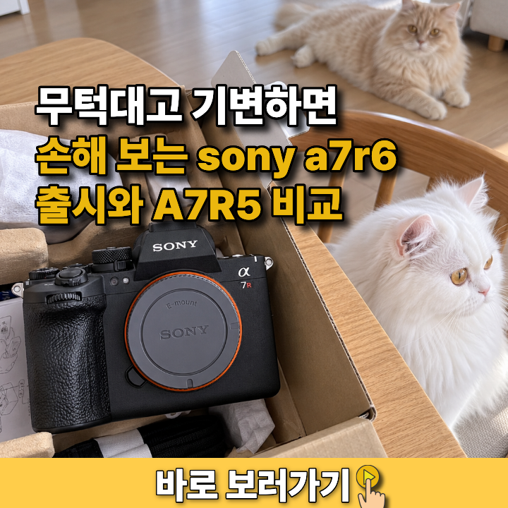무턱대고 기변하면 손해 보는 sony a7r6 출시와 A7R5 비교