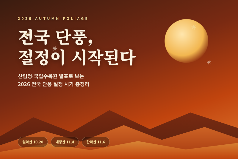 2026 단풍 절정 시기 전국 총정리(설악산·내장산·화담숲)