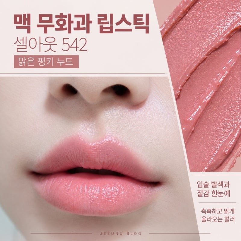 맥 무화과 립스틱 뭐길래? 셀아웃 542 쿨톤 웜톤 발색