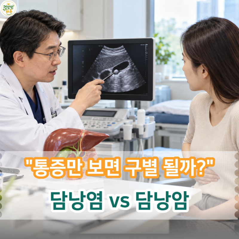 담낭염 vs 담낭암 "통증,증상,검사" 차이 한눈에 보면?