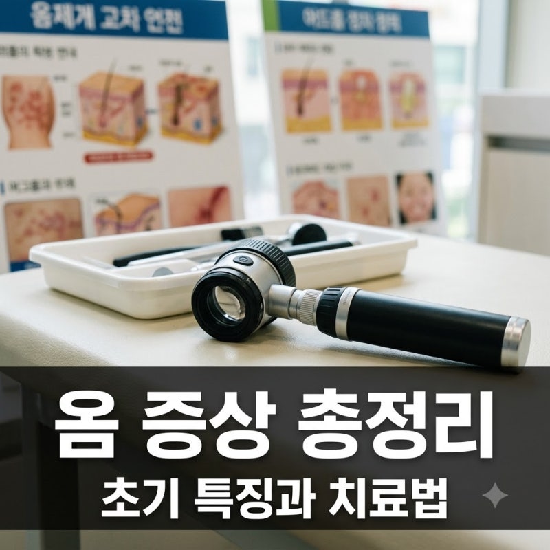 옴 증상 초기 특징과 잠복기 전염 예방법 총정리