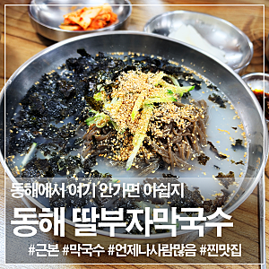 동해 막국수 맛집 딸부자막국수 시원한 물막국수와 곤드레찐만두 찐 내돈내산 솔직 후기!
