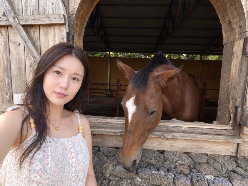 제주 서귀포 목장카페 밭디｜말 구경하고 당근 먹이주기