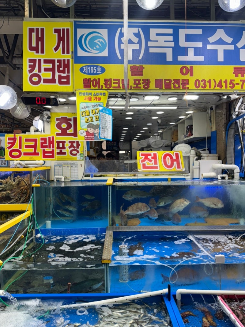 안산 회 포장 맛집 | 안산농수산물시장 회센터 ‘독도수산’ 광어회 포장 후기