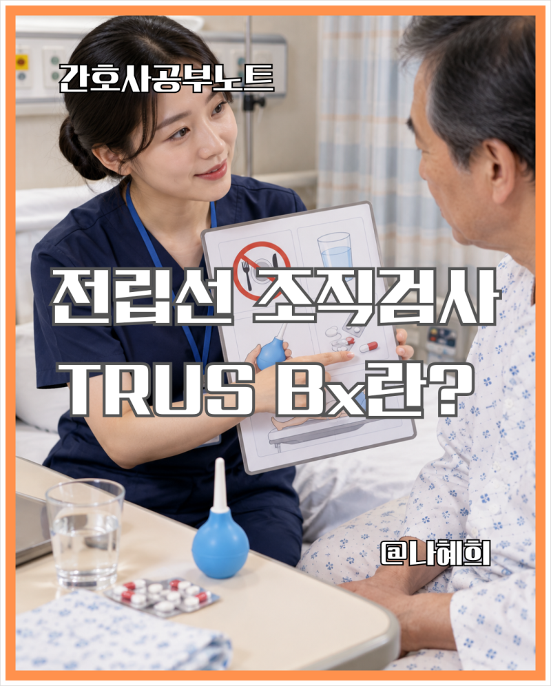 TRUS Bx 전립선 조직검사｜신규간호사가 꼭 알아야 할 검사 전·후 간호