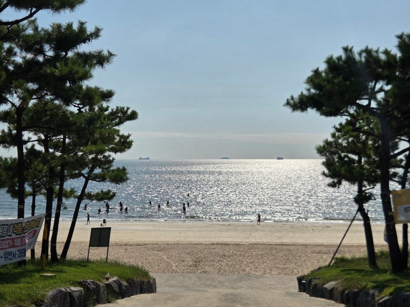 충남 보령, 대천 ㅣ대천 바다와 같이 즐기는 스카이바이크 & 머드뷰티치유관 족욕