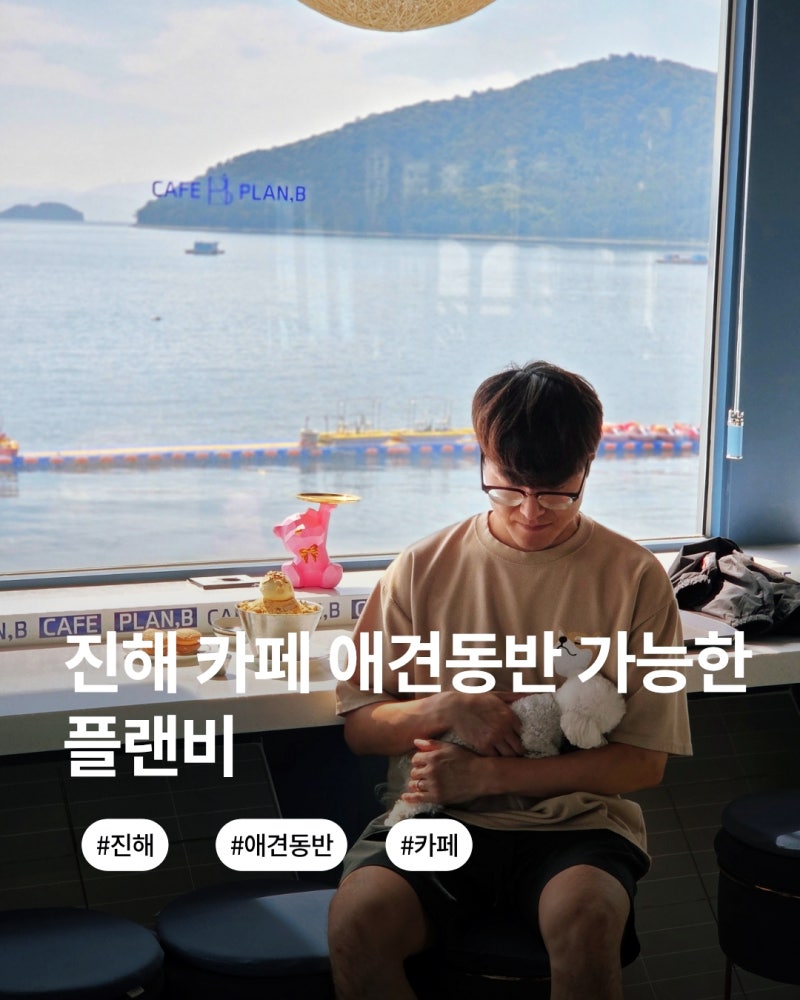 진해 카페 오션뷰가 대박인 애견동반 카페 플랜비