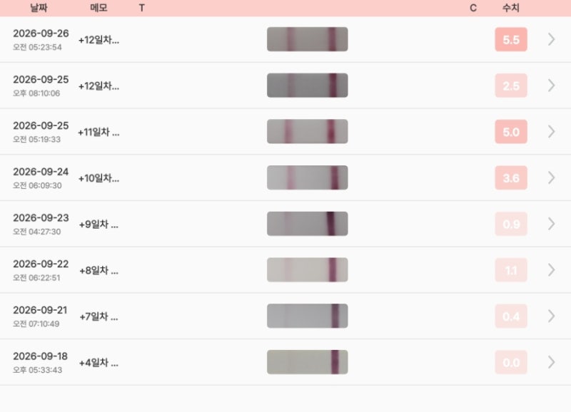 동탄 아이희망 | 동결배아 이식 후 증상과 임테기 |1일차부터 2차 피검사까지 솔직 후기