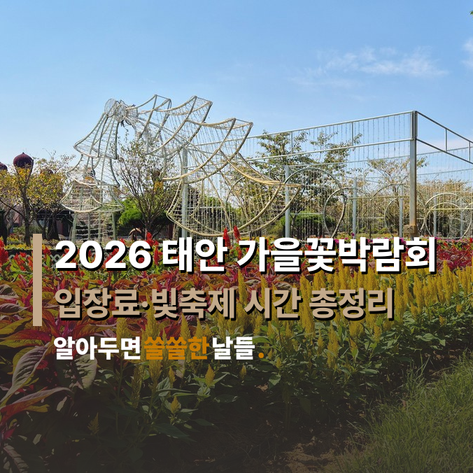 2026 태안 가을꽃박람회 9월 17일~11월 1일, 입장료·빛축제 시간 총정리