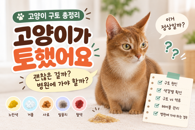 고양이가 토하는 이유 총정리｜사료토·공복토·헤어볼토, 괜찮을까?