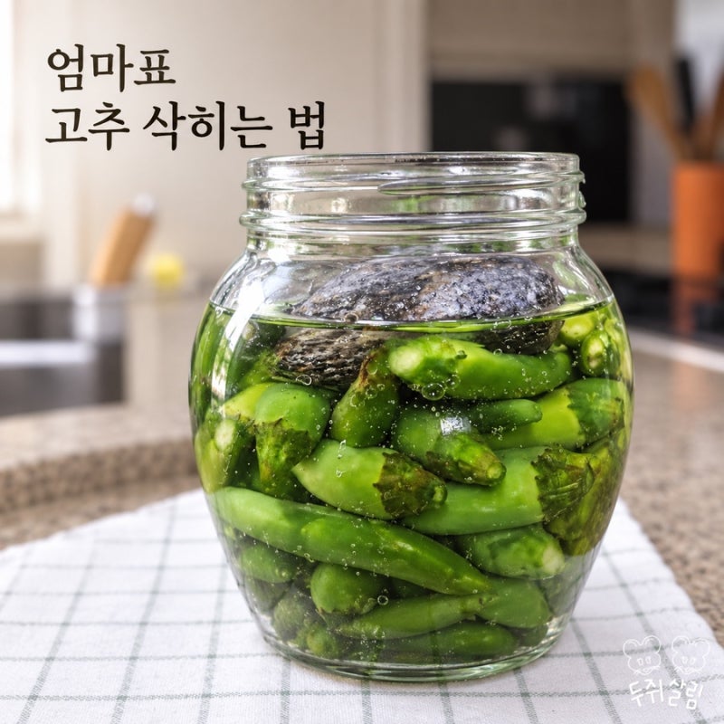 고추 삭히는 법, 어렵지 않아요!엄마가 알려준 청양고추 소금물 비율