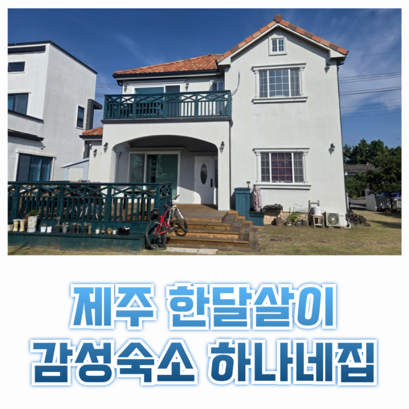 제주 한달살이 감성 숙소 서귀포 조용히 쉴 수 있는 독채 펜션 하나네집
