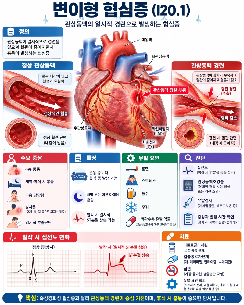 변이형 협심증, 새벽에 가슴이 아픈 이유